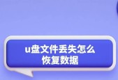 如何找回被删除的U盘文件（简单有效的教程帮您找回重要文件）