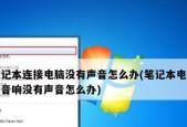 电脑外接音响无声音问题解决方法（教你如何解决电脑外接音响无声音问题）