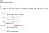如何设置路由器DNS以实现畅通无阻的上网体验（优化路由器DNS设置）