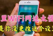 家里WiFi网速慢怎么办（快速提速的方法与技巧）