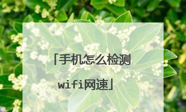 手机测WiFi网速方法与技巧（掌握一招）  第1张