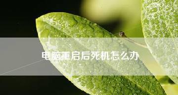 电脑死机（分析电脑死机的原因）  第3张