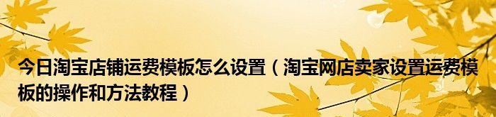 卖家运费模板设置流程解析（轻松设置运费模板）  第1张