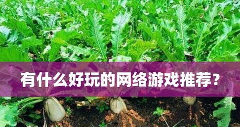 探索不用网络的游戏世界（发现游戏中的乐趣与创造力）  第1张