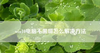 电脑开不了机怎么办？新手故障分析与解决步骤是什么？  第1张